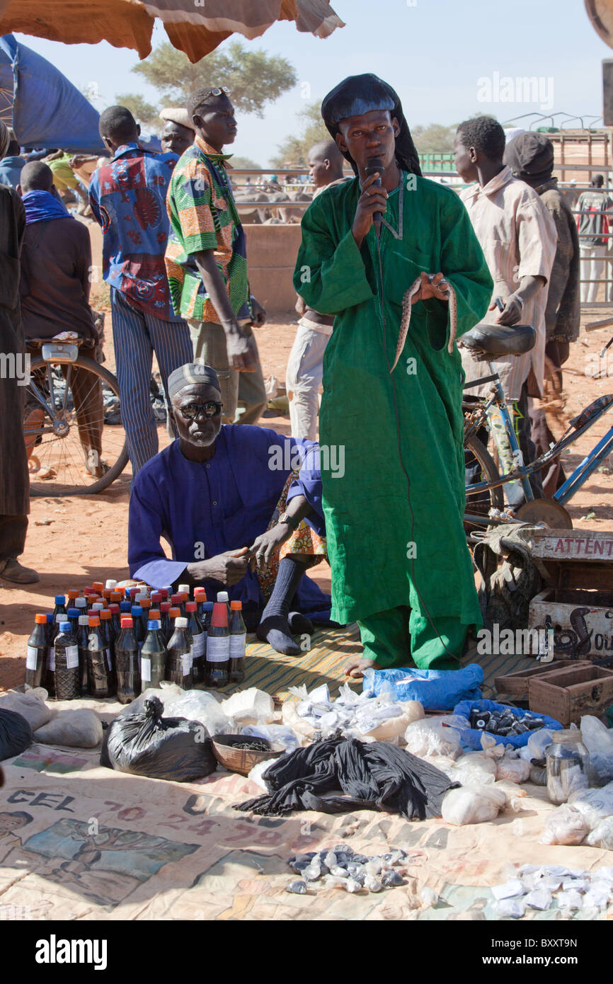 At the weekly market in Djibo, northern Burkina Faso, a crowd gathers around a snake charmer / traditional medicine man. Stock Photo