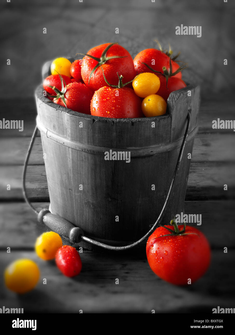 Mixed tomatoes photos, pictures & images Stock Photo