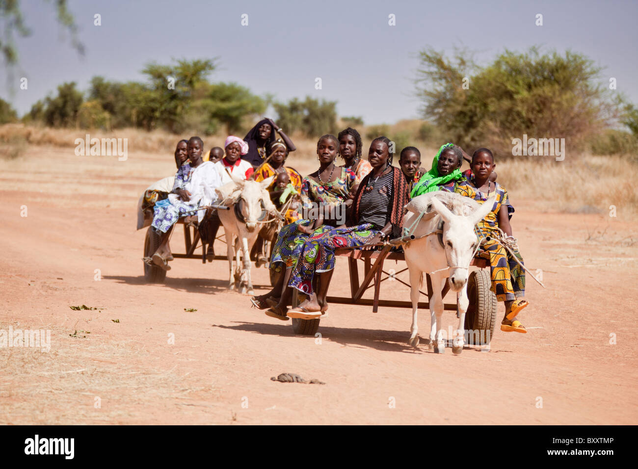 A group of Tuareg women ride a donkey cart to the Bourro market in northern Burkina Faso. Stock Photo