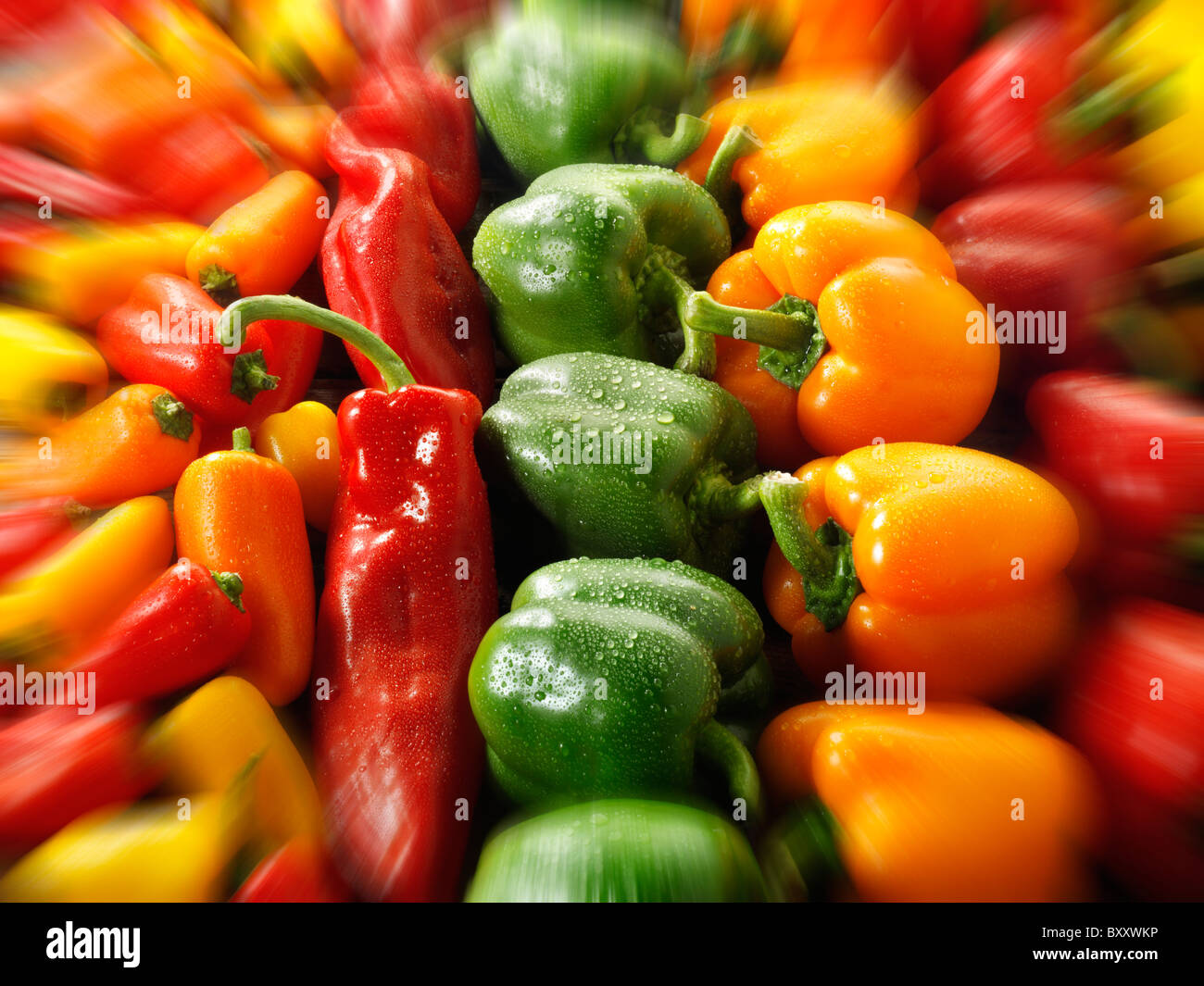 Mixed red, green, yellow & orange fresh bell peppers photos, pictures