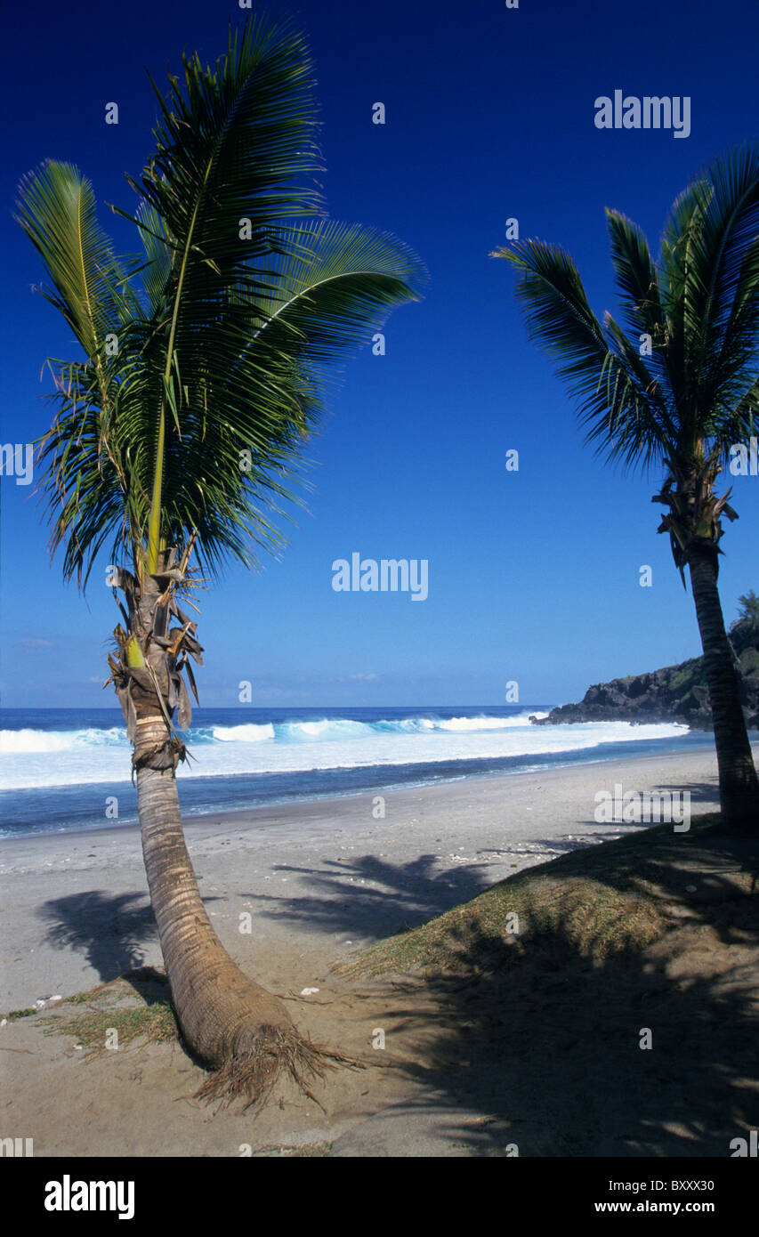 Grande Anse beach, La Reunion island (France), Indian Ocean Stock Photo Alamy