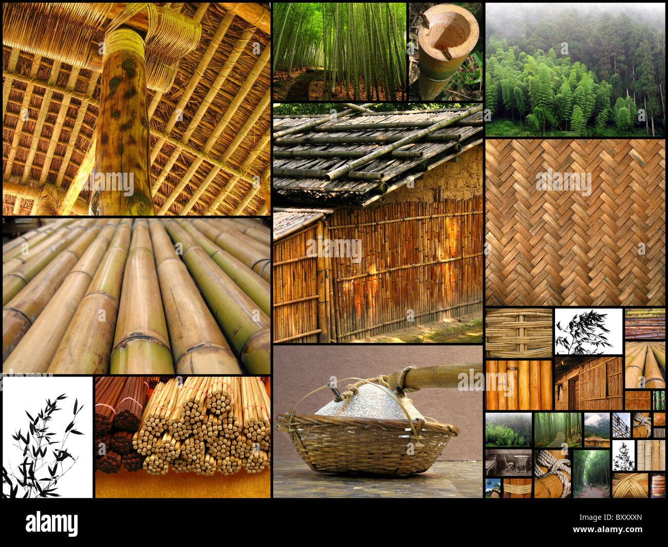The Magic of Bamboo shows the manifold uses of bamboo in Taiwan Stock Photo Alamy