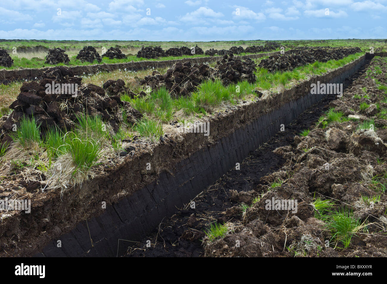 Turf bog shows cutting peat hires stock photography and images Alamy