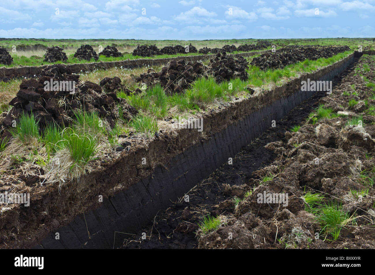 Turf bog shows cutting and stacks of peat (footings) at Mountrivers peat bog, County Clare, West of Ireland Stock Photo