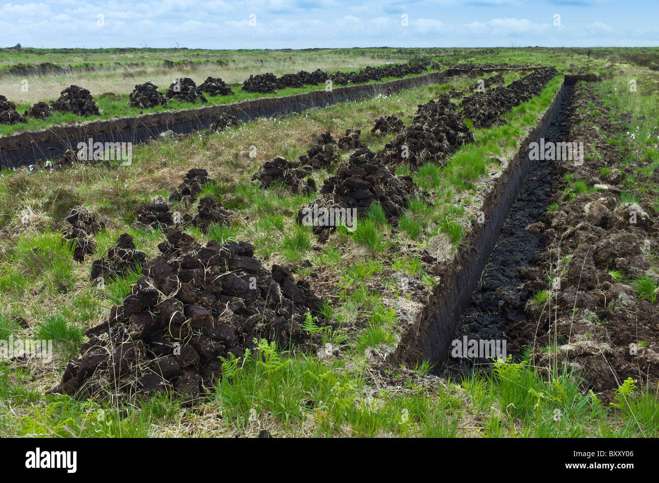 Turf bog shows cutting and stacks of peat (footings) at Mountrivers peat bog, County Clare, West of Ireland Stock Photo