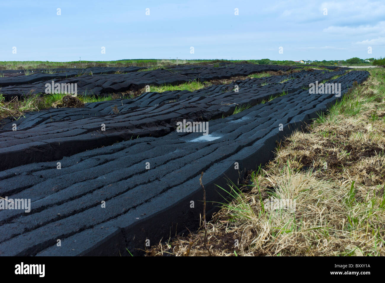 Turf cut by machine laid out to dry at Mountrivers peat bog, County Clare, West of Ireland Stock Photo