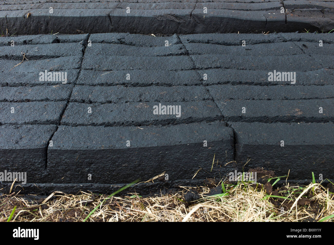 Turf cut by machine laid out to dry at Mountrivers peat bog, County Clare, West of Ireland Stock Photo