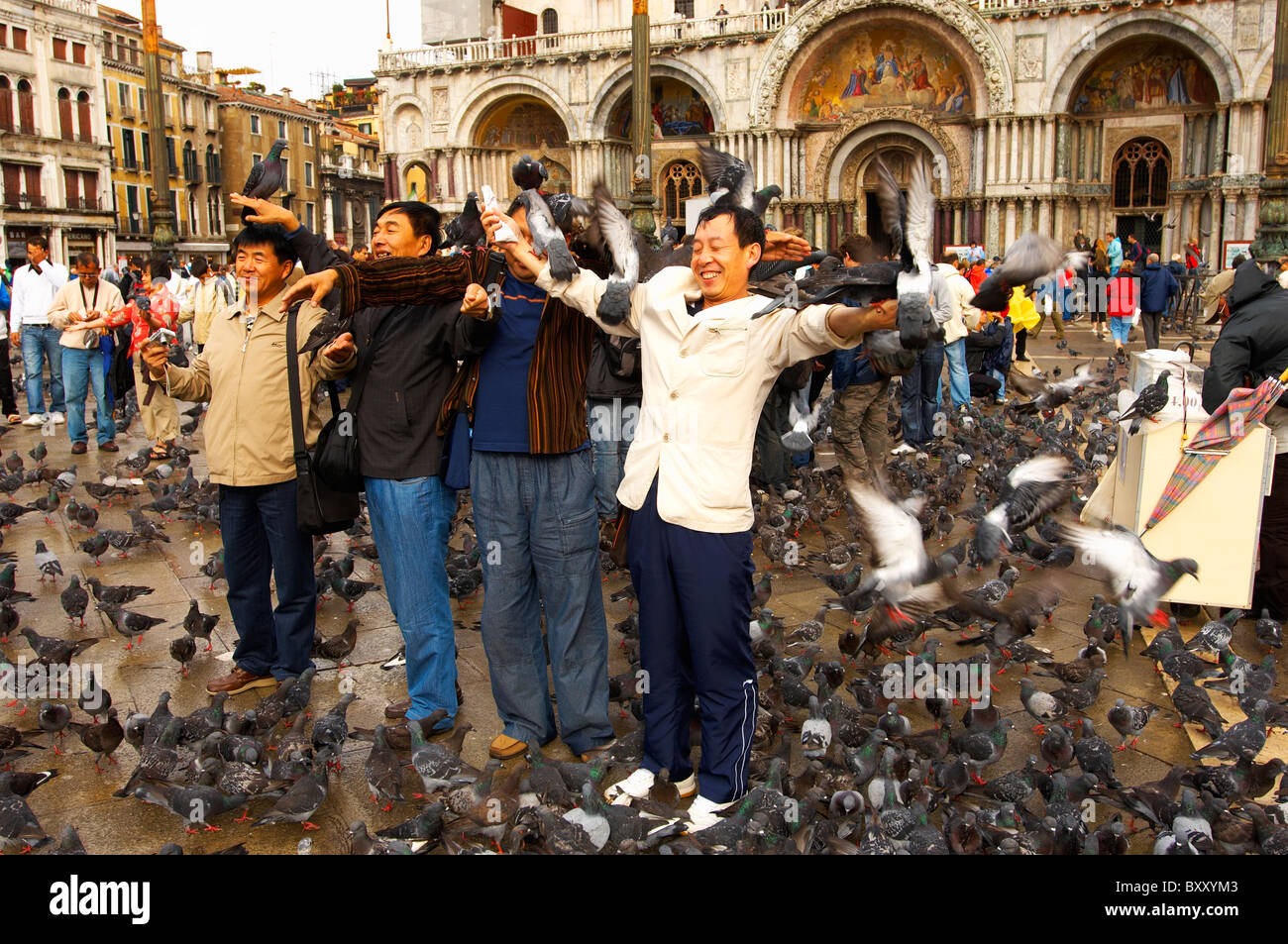 Oriental tourists feeding pigeons in St Marks Square Venice Italy Stock Photo Alamy