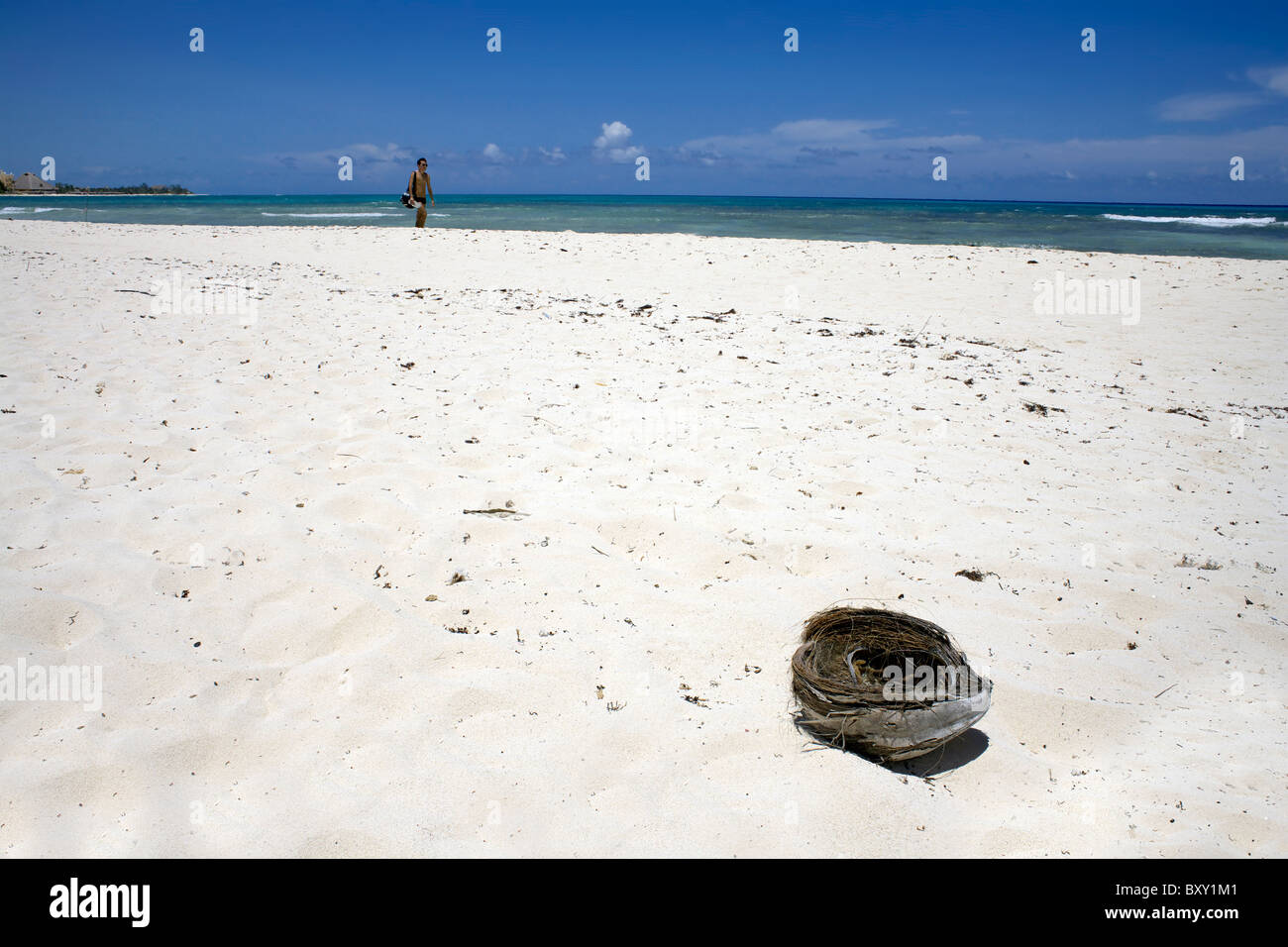 Walking paradise hi-res stock photography and images - Alamy