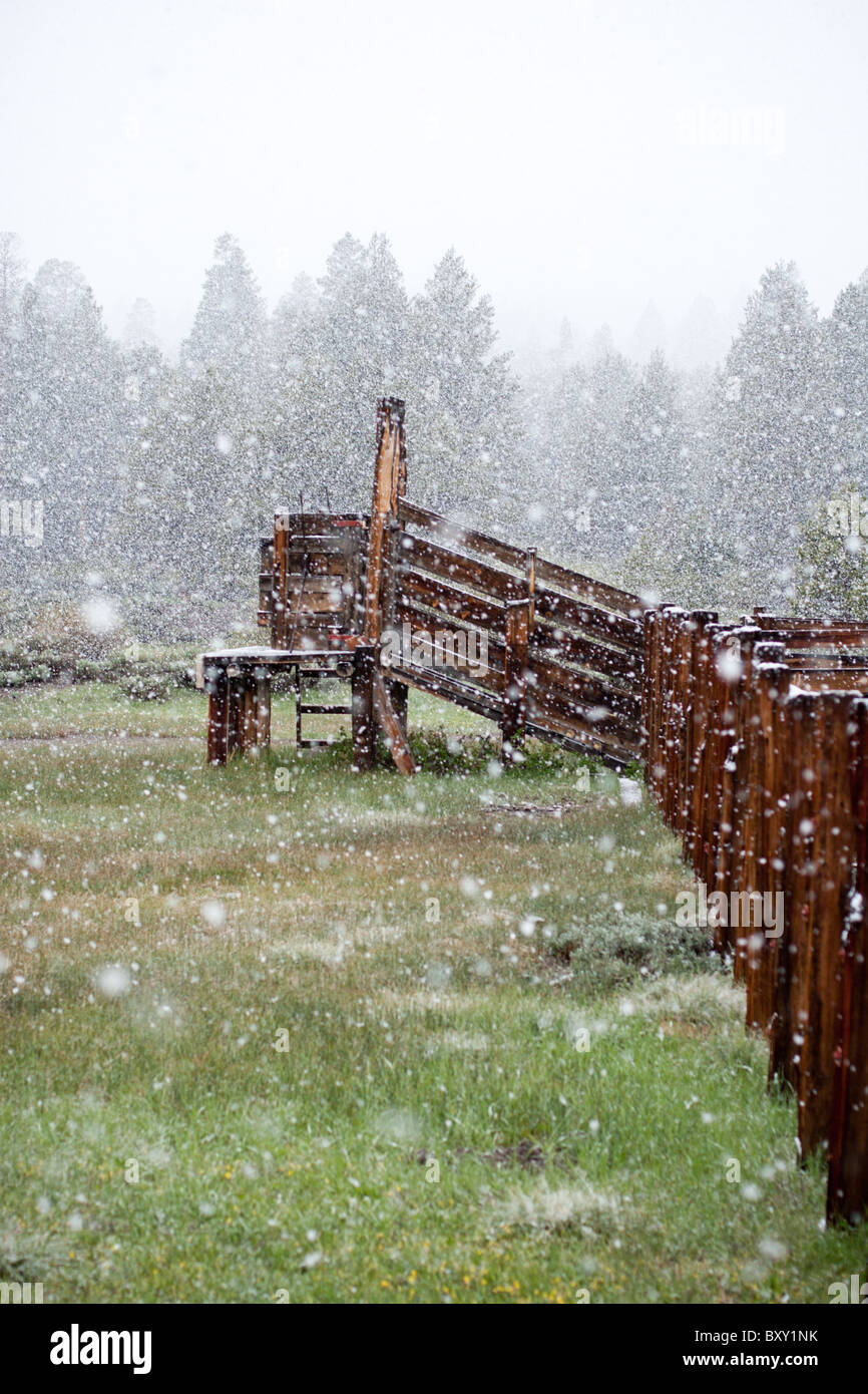 Snow falls on a ranch in the Sierra Nevada mountains of California. Stock Photo