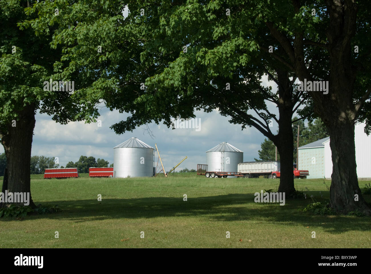 Agriculture; Farming; Grain Storage; Trucks; Maple Trees; Jackson County Michigan USA Stock Photo