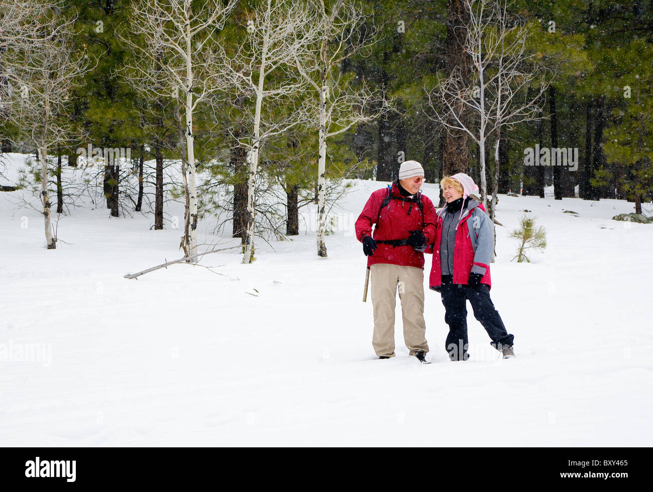 Active retired couple in winter forest Stock Photo