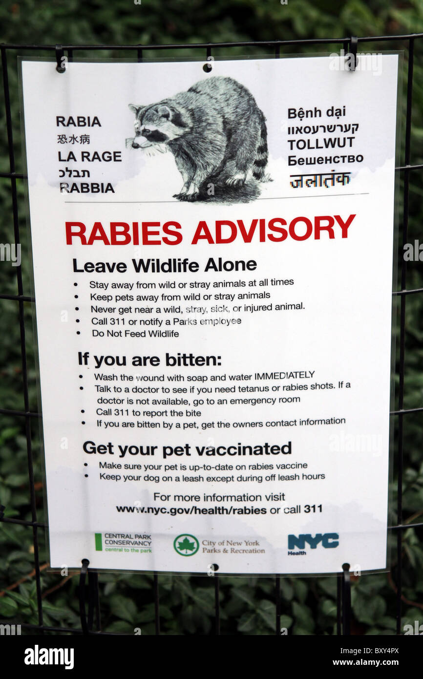 Rabies hires stock photography and images Alamy
