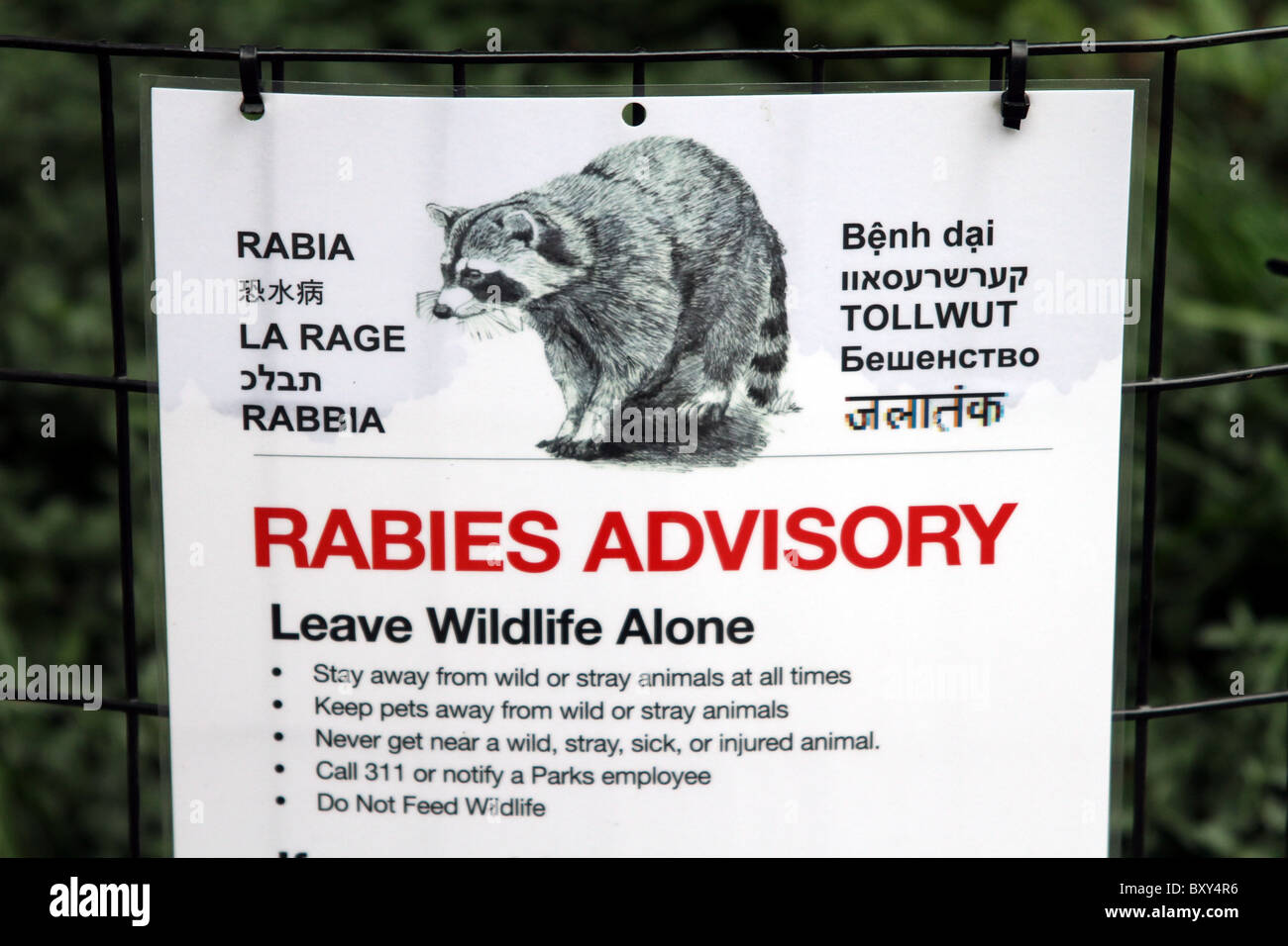 Rabies advisory warning sign in Central Park in New York, America Stock Photo
