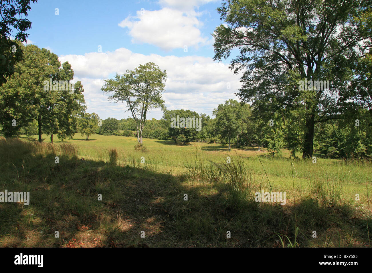 View from Prospect Hill, part of the Fredericksburg Battlefield