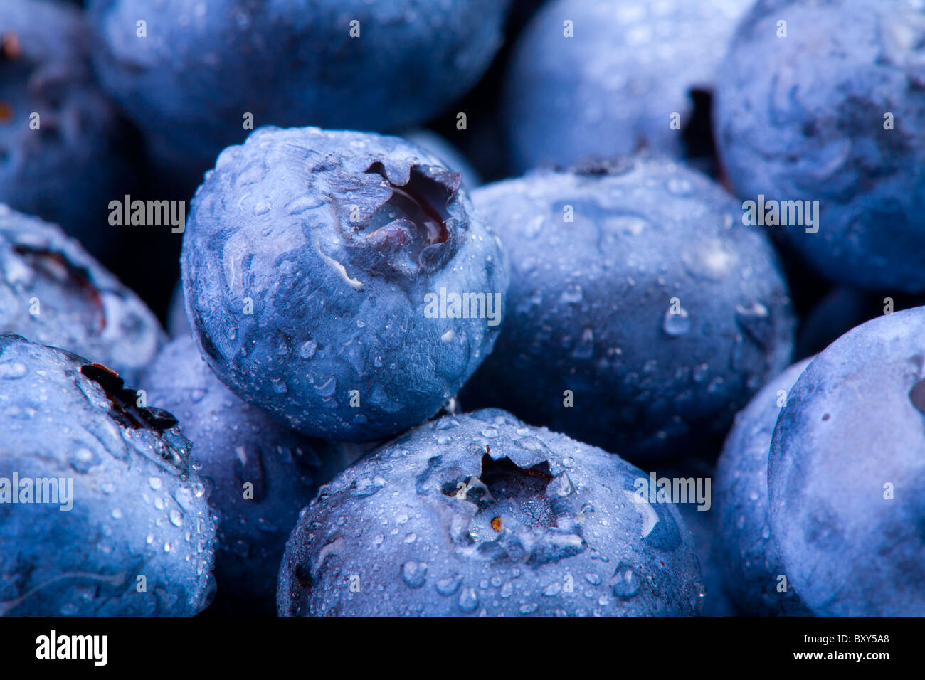Closeup organic blueberries natural hi-res stock photography and images ...