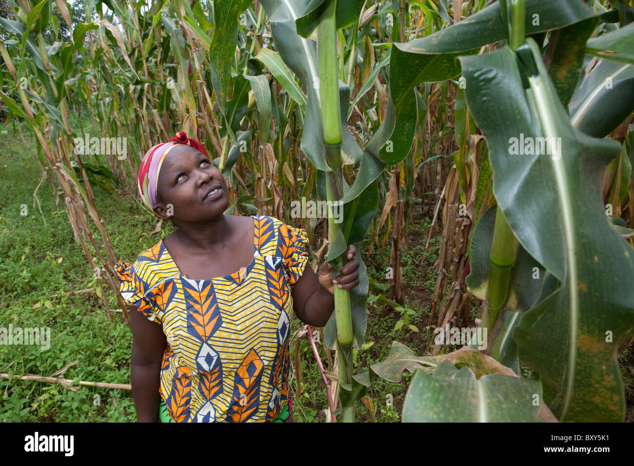 Anne Lichuma, (38) - Webuye District, Western Kenya. Stock Photo