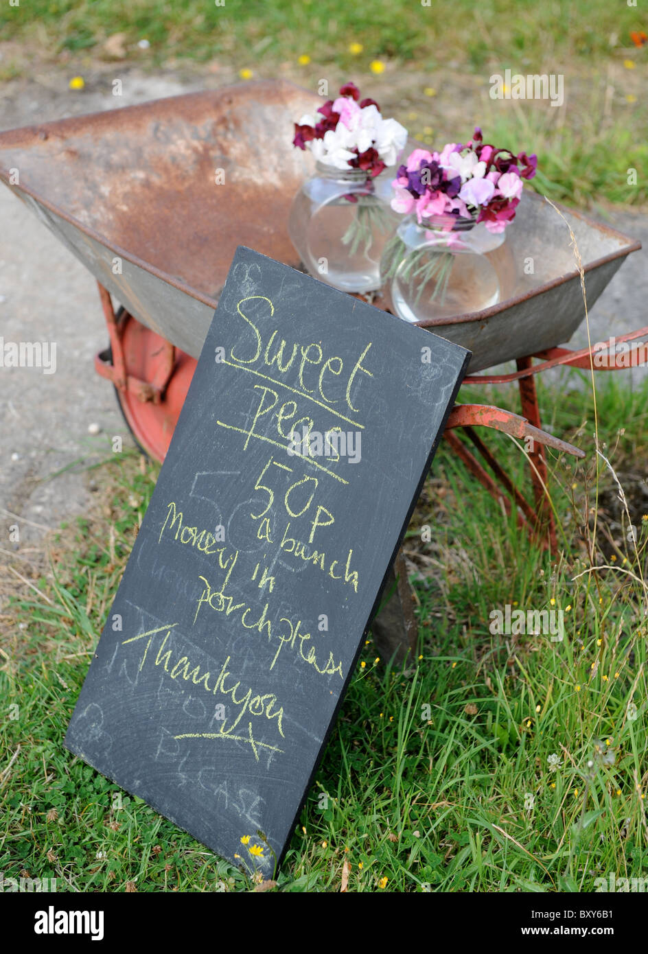 Bunches of Sweet Peas on sale outside a Dorset smallholding UK Stock Photo