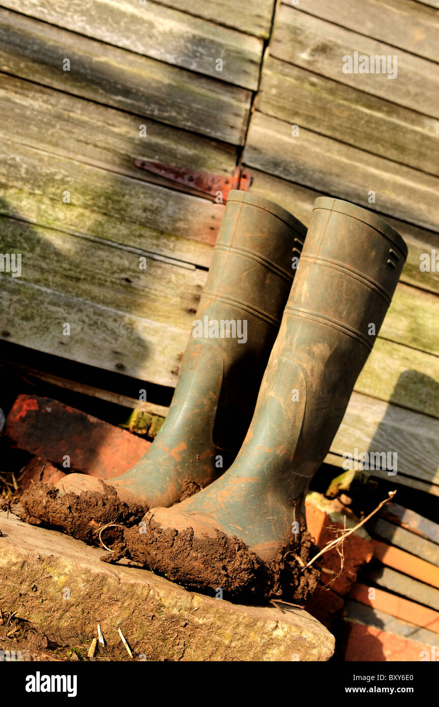 Wellington Boots,Muddy Gardening Stock Photo - Alamy