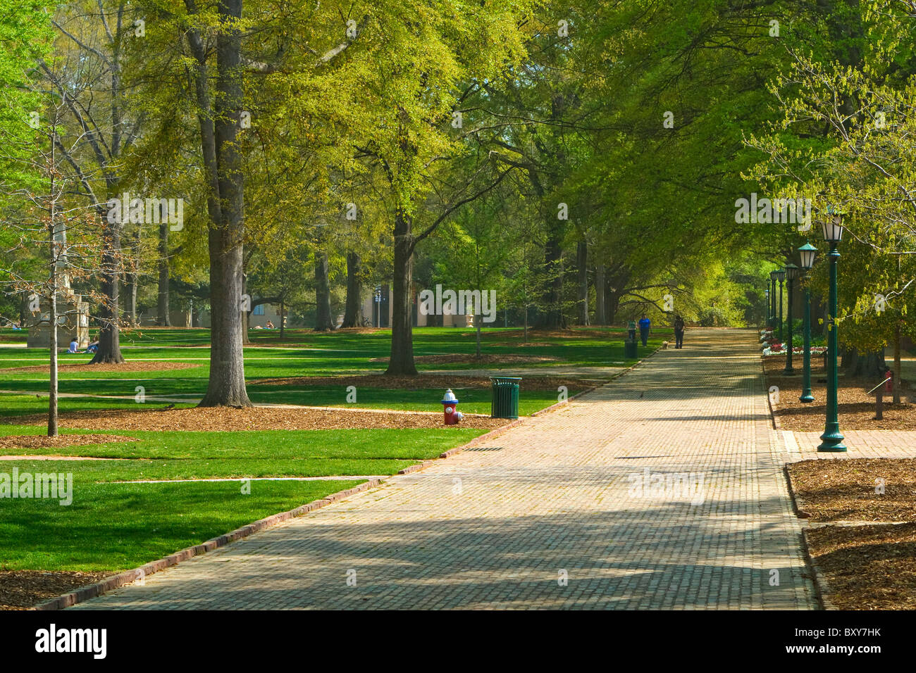 The University of South Carolina historical Horseshoe red brick path