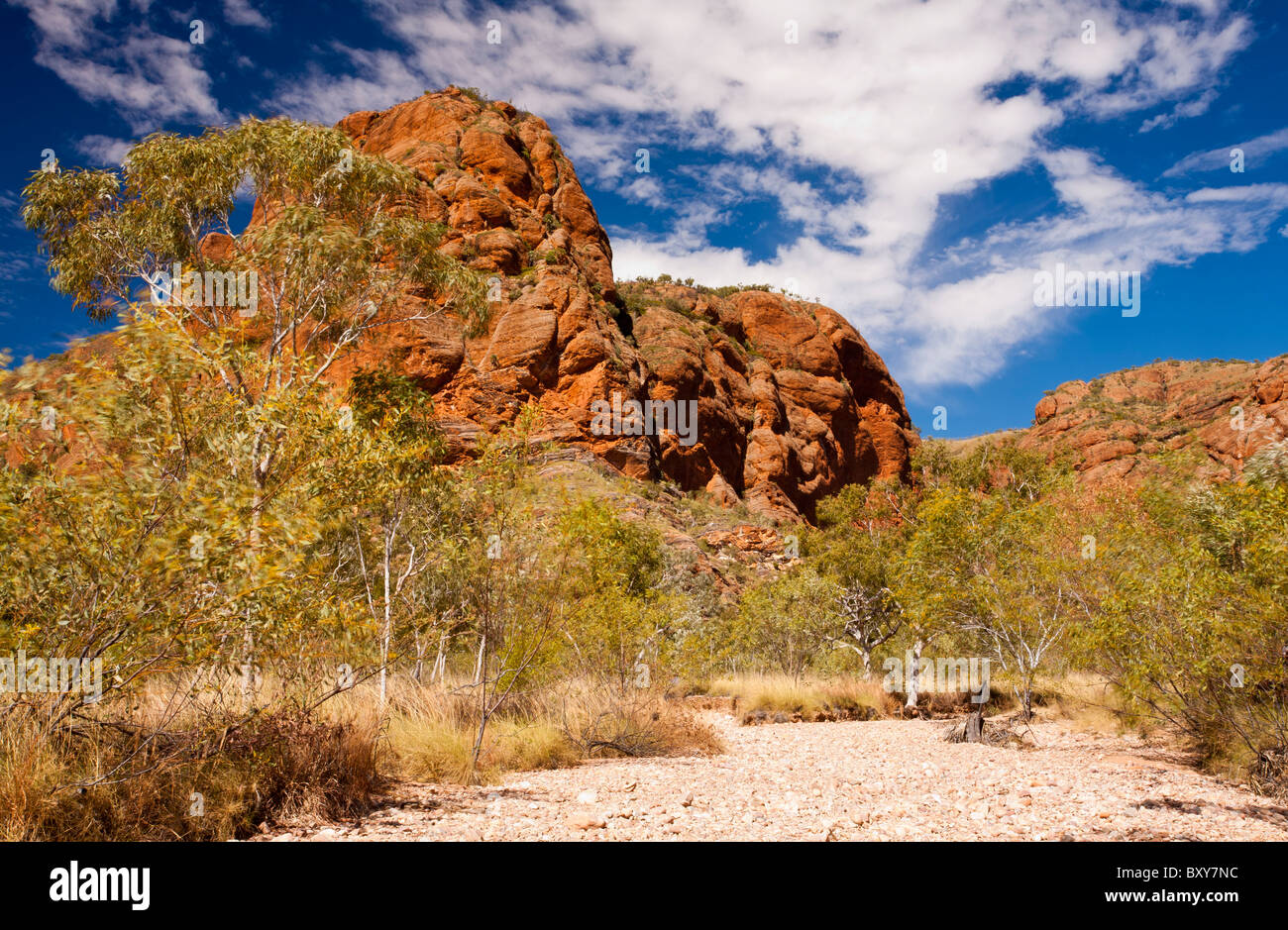 Dry creek bed near Mini Palms Gorge, Bungle Bungles, Purnululu National Park, Kimberley, Western Australia Stock Photo