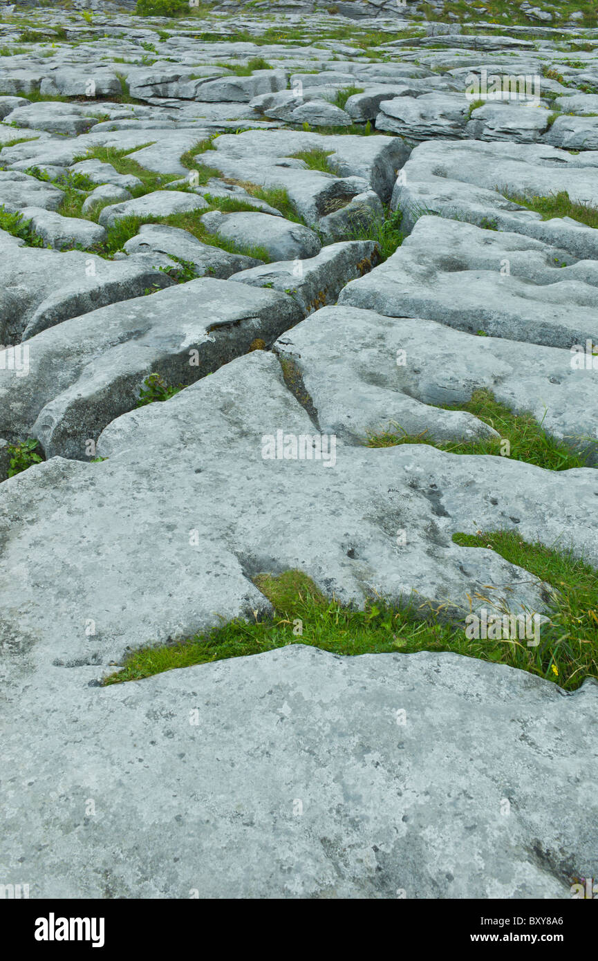 Limestone pavement glaciated karst landscape in The Burren, County Clare, West of Ireland Stock Photo