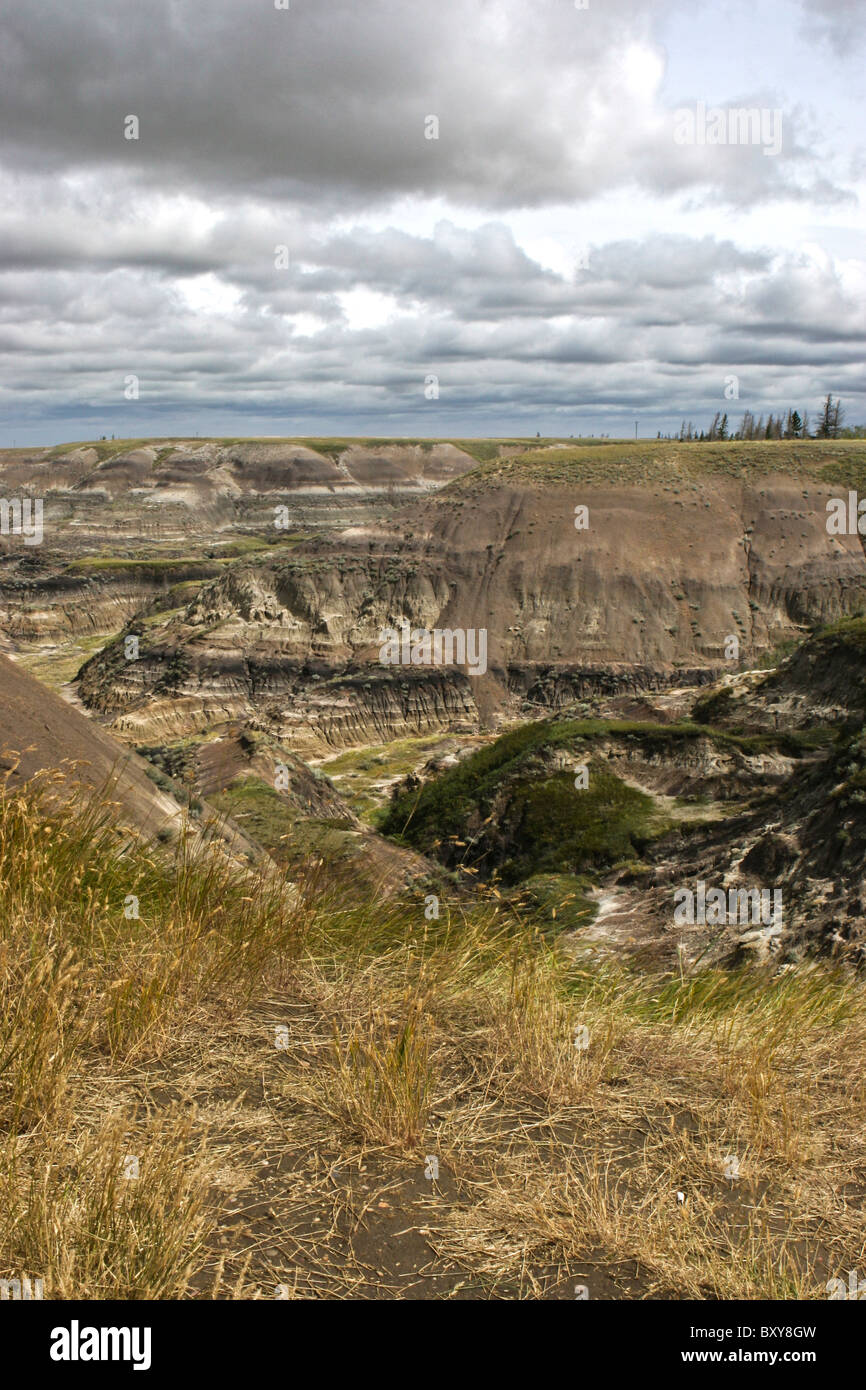 Hoodoo formations in Horseshoe Canyon, Drumheller, Alberta, Canada