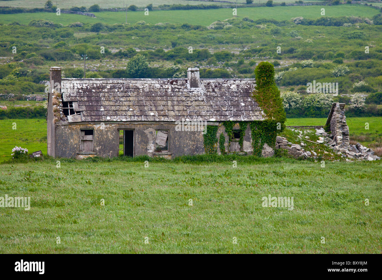 Derelict old period cottage in need of renovation in The Burren in County Clare, Ireland Stock Photo