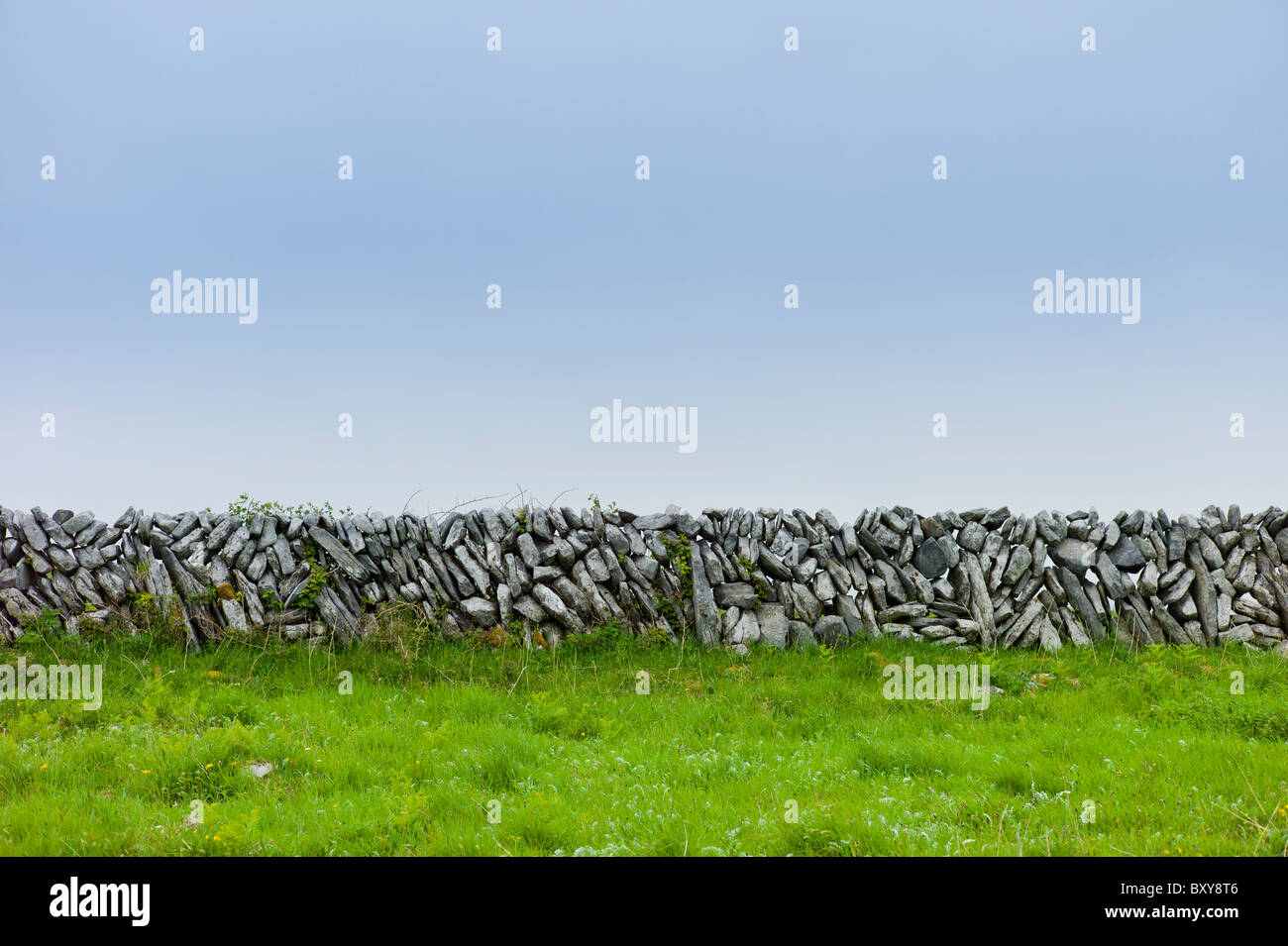 Traditional dry stone wall of vertical sloping stones in field in The Burren, County Clare, West of Ireland Stock Photo