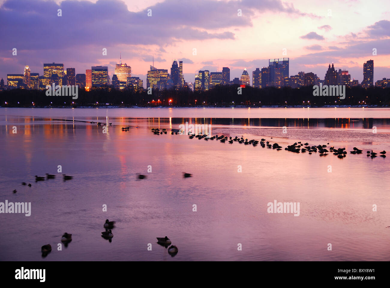 Sunset in Central Park New York City with skyline and ducks in lake