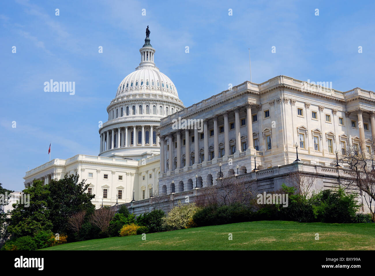 American Capitol Hill Building with tree and blue sky, Washington DC, USA Stock Photo
