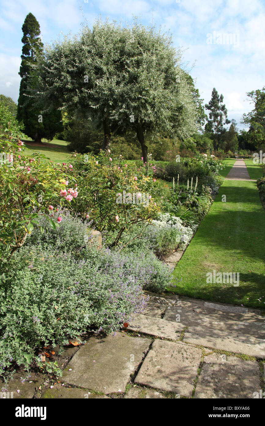 Cholmondeley Castle Gardens. Summer view of Cholmondeley Castle Gardens  herbaceous border. Stock Photo