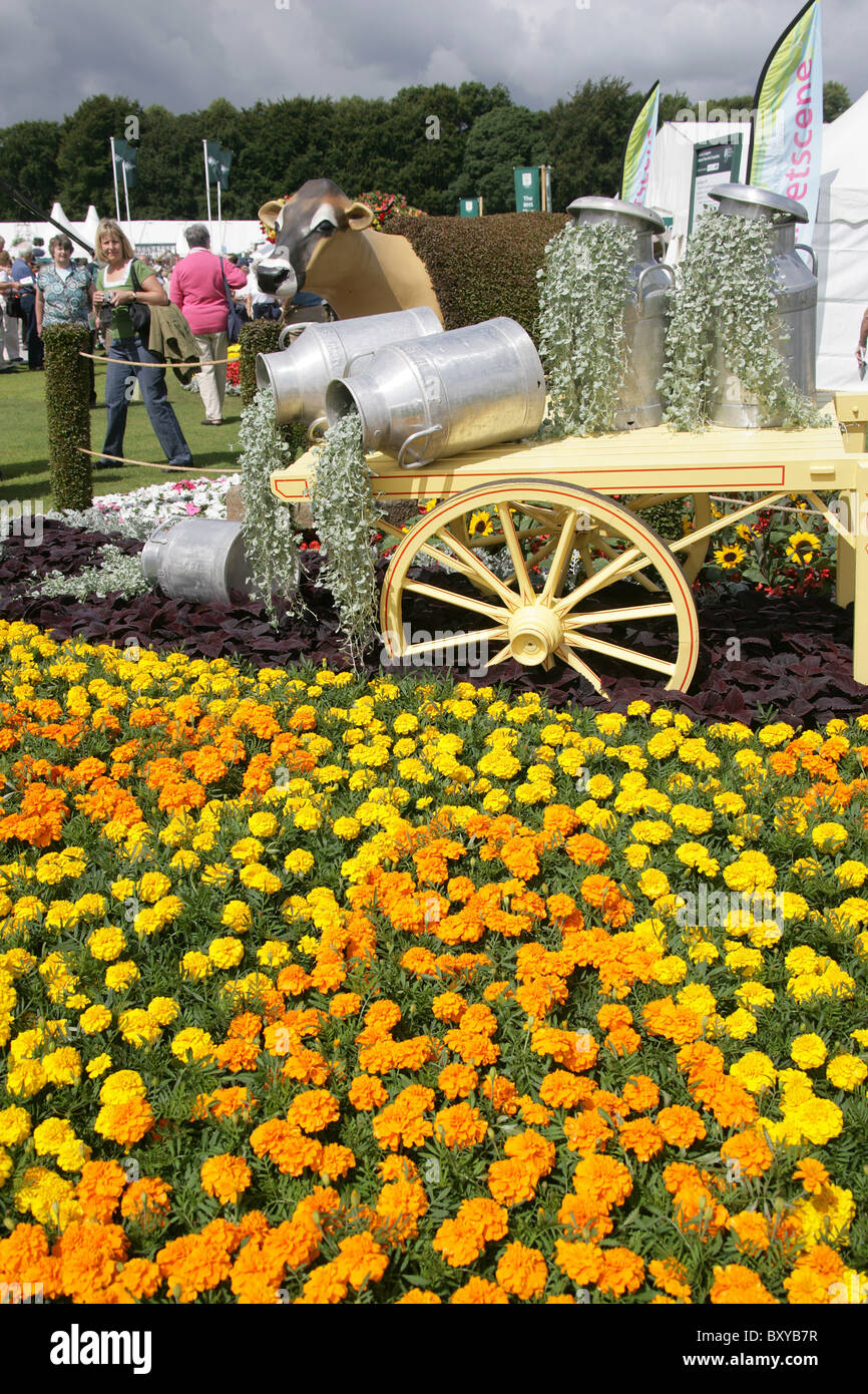 RHS Tatton, Cheshire. One of the many colourful display flowerbeds at RHS Tatton Stock Photo