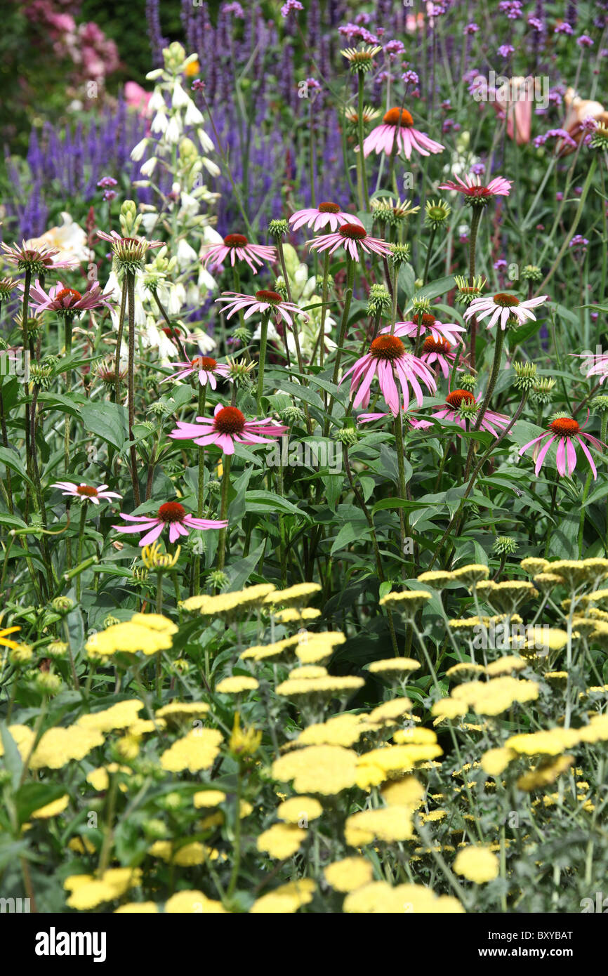 Parterres herbaceous border hi-res stock photography and images - Alamy