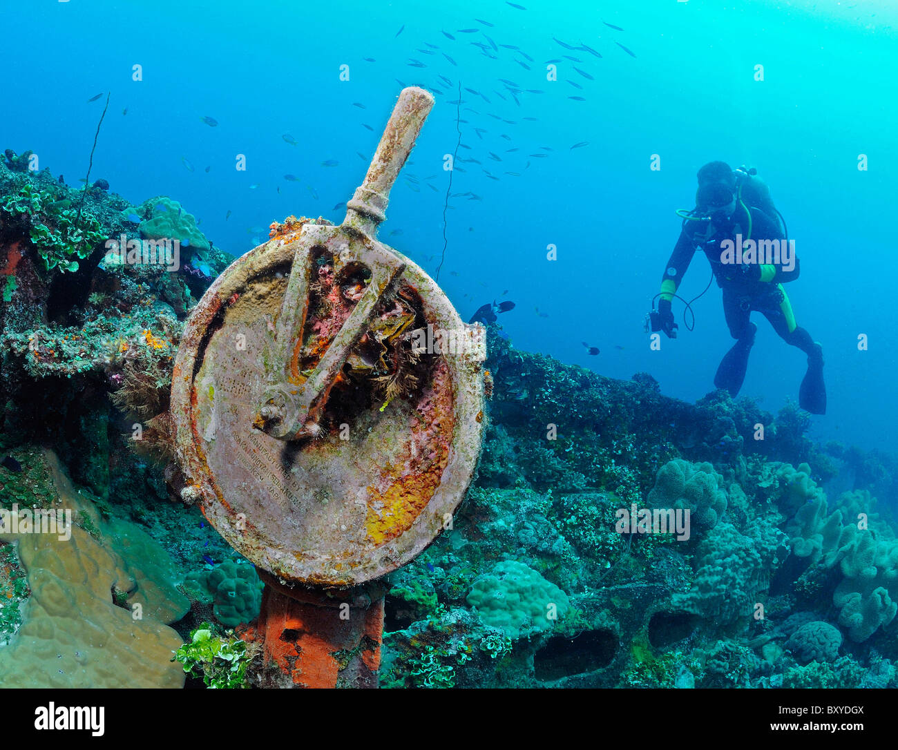 Scuba Diver at Telegraph on Deck of Japanese Wreck Fujikawa Maru, Truk Lagoon, Micronesia, Pacific Ocean, Chuuk Stock Photo