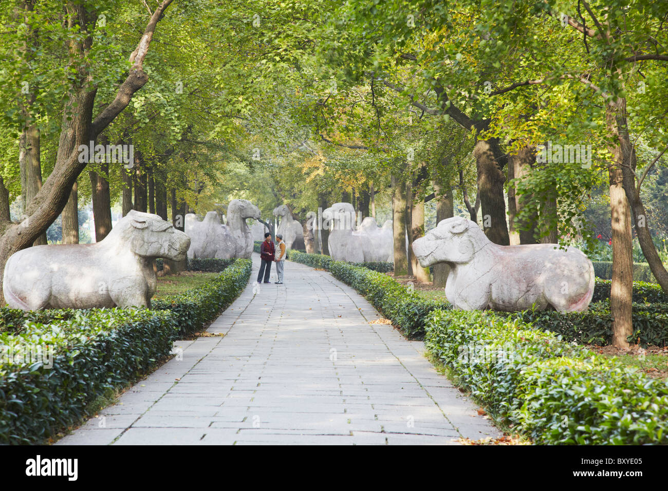 Animal statues along Sacred Way at Ming Xiaoling (Ming Dynasty tomb),  Nanjing, China Stock Photo - Alamy