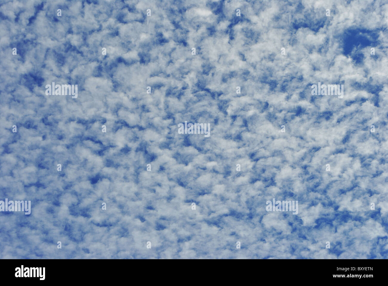 blue sky with white fluffy clouds background texture Stock Photo - Alamy
