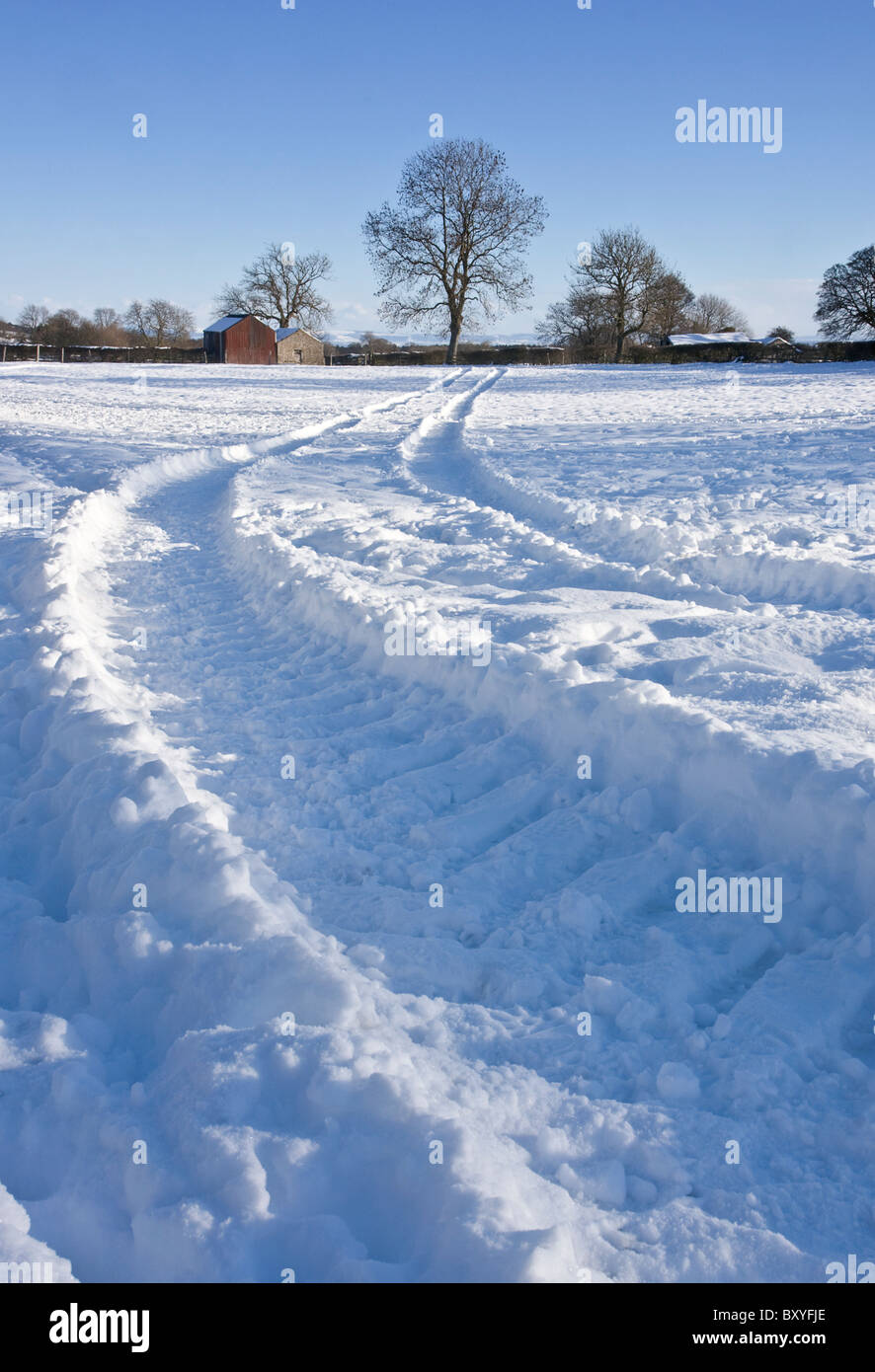 tractor tracks crossing open farmland in the snow Stock Photo