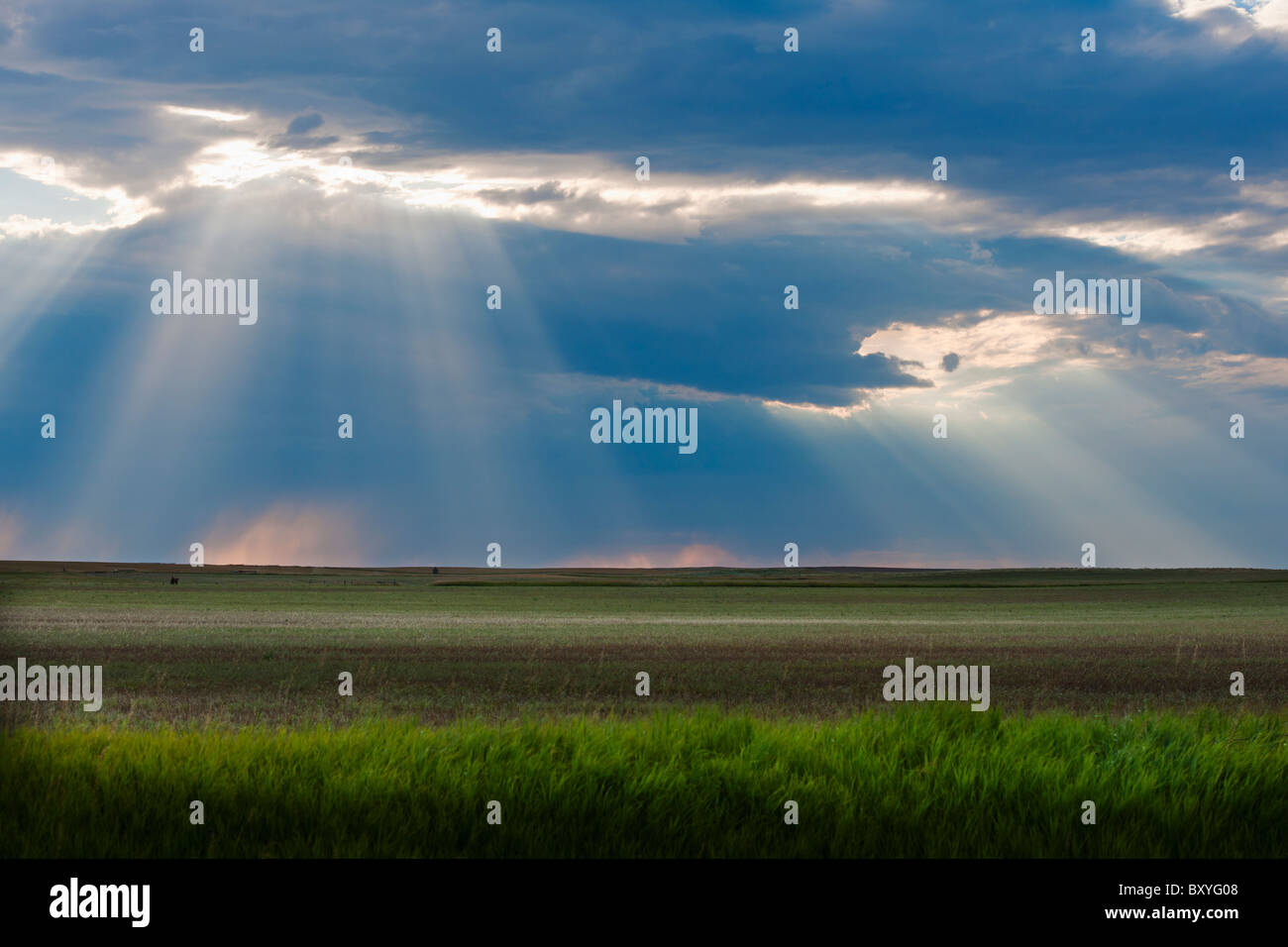 Sunrays shining through clouds over field Stock Photo - Alamy