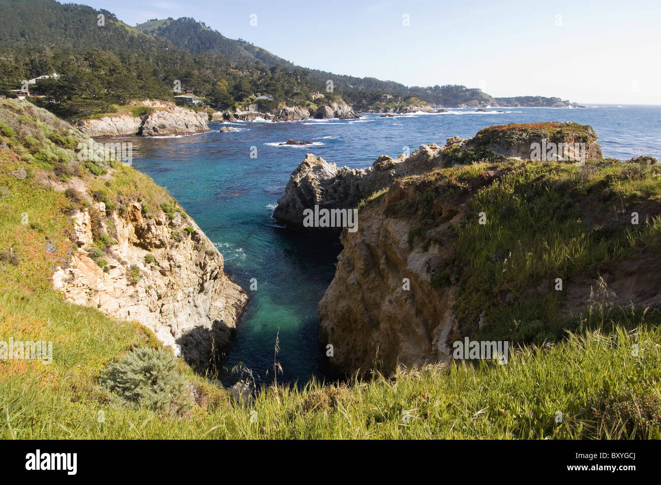 Elk237-X115 California, Carmel Point Lobos State Reserve, ocean ...