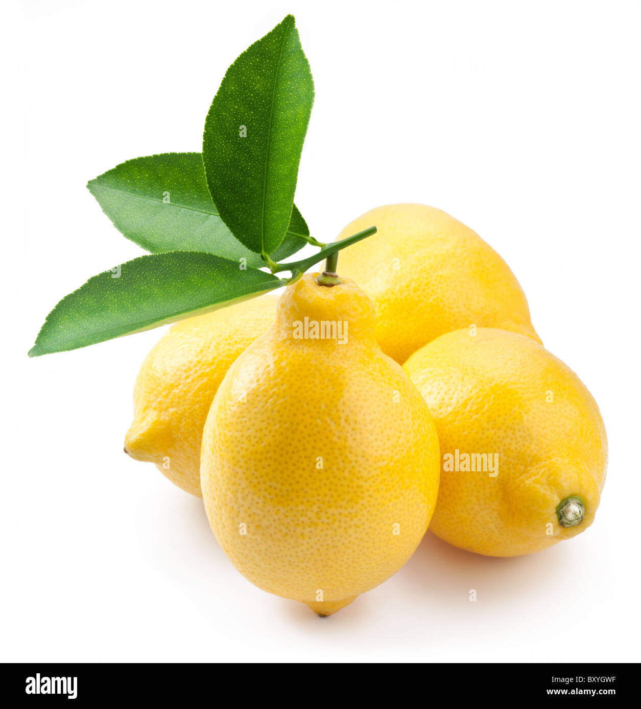 High-quality photo ripe lemons on a white background Stock Photo