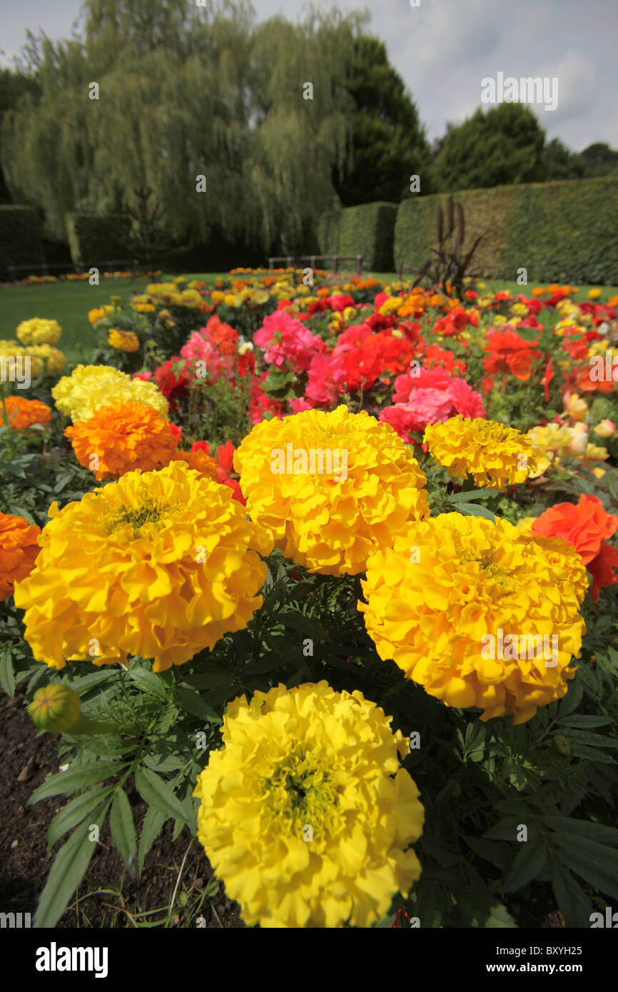 Walkden Gardens, Sale, England. Colourful summer view of Walkden