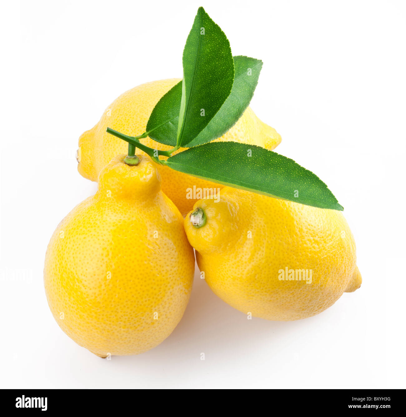 High-quality photo ripe lemons on a white background Stock Photo