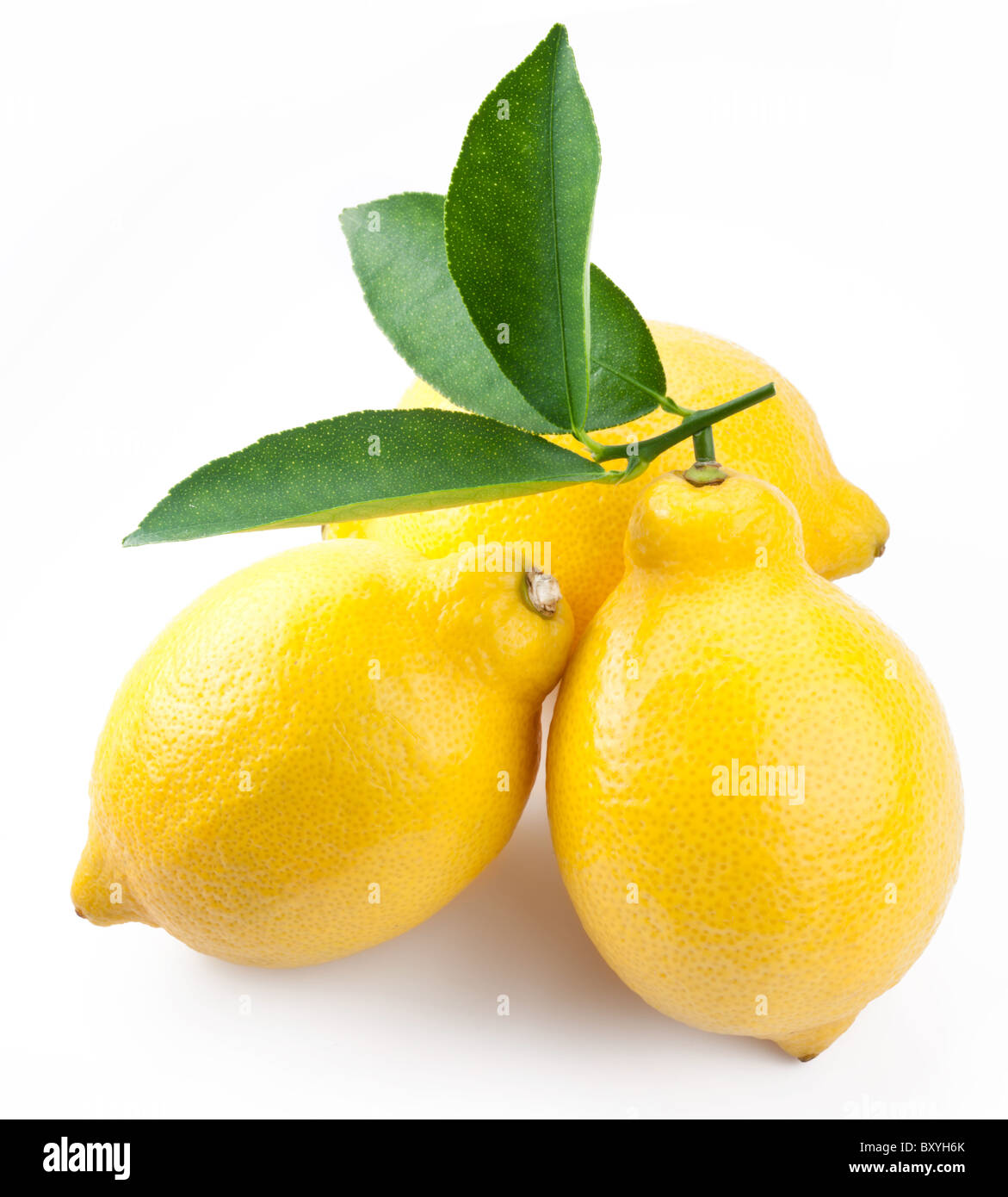 High-quality photo ripe lemons on a white background Stock Photo - Alamy
