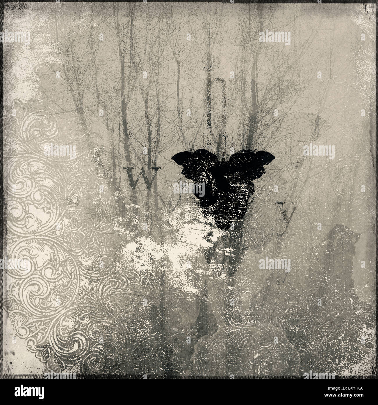 Moth hi-res stock photography and images - Alamy