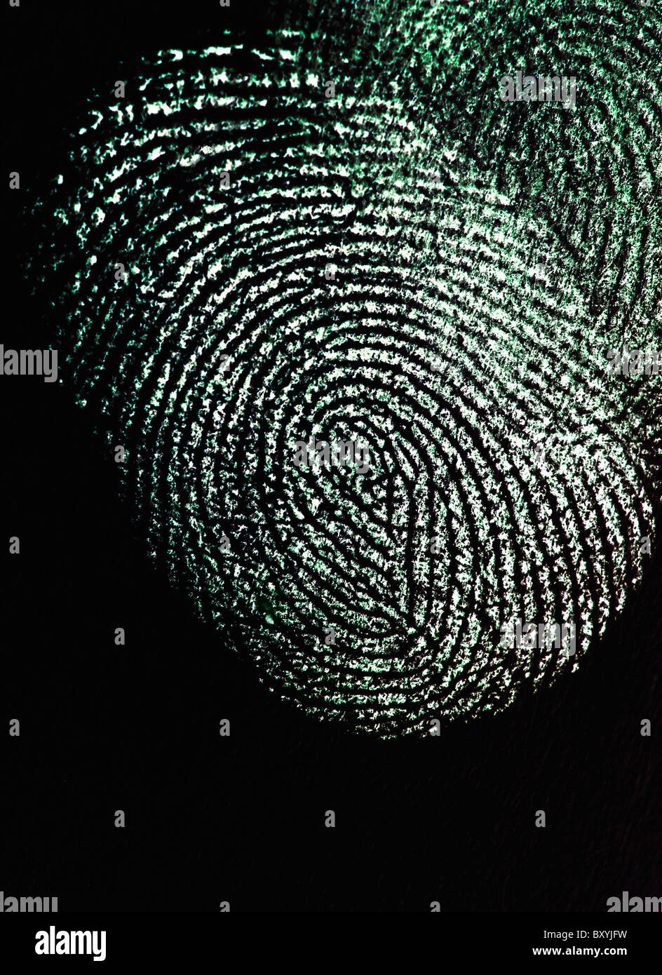 Close up of fingerprint on black background Stock Photo