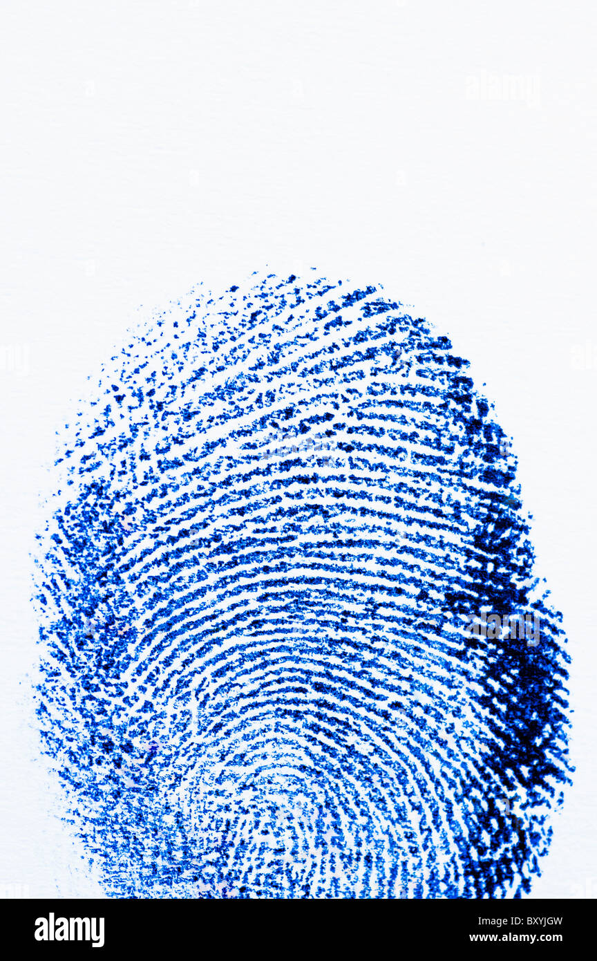 Close up of fingerprint on white background Stock Photo