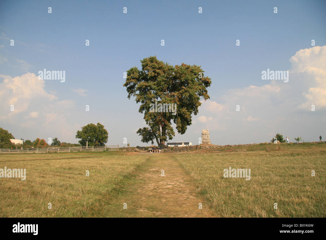 The tree shown marks The Angle which sits on the High Water Mark, Cemetery Ridge, Gettysburg National Military Park. Stock Photo