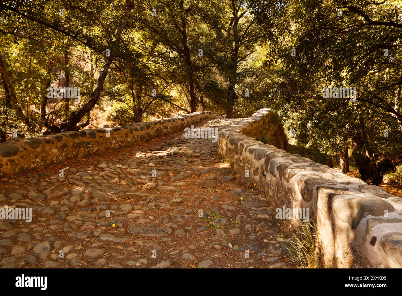 Kelefos Venetian Bridge over the Diarizos River, Troodos, Cyprus. Used for transporting copper. Stock Photo