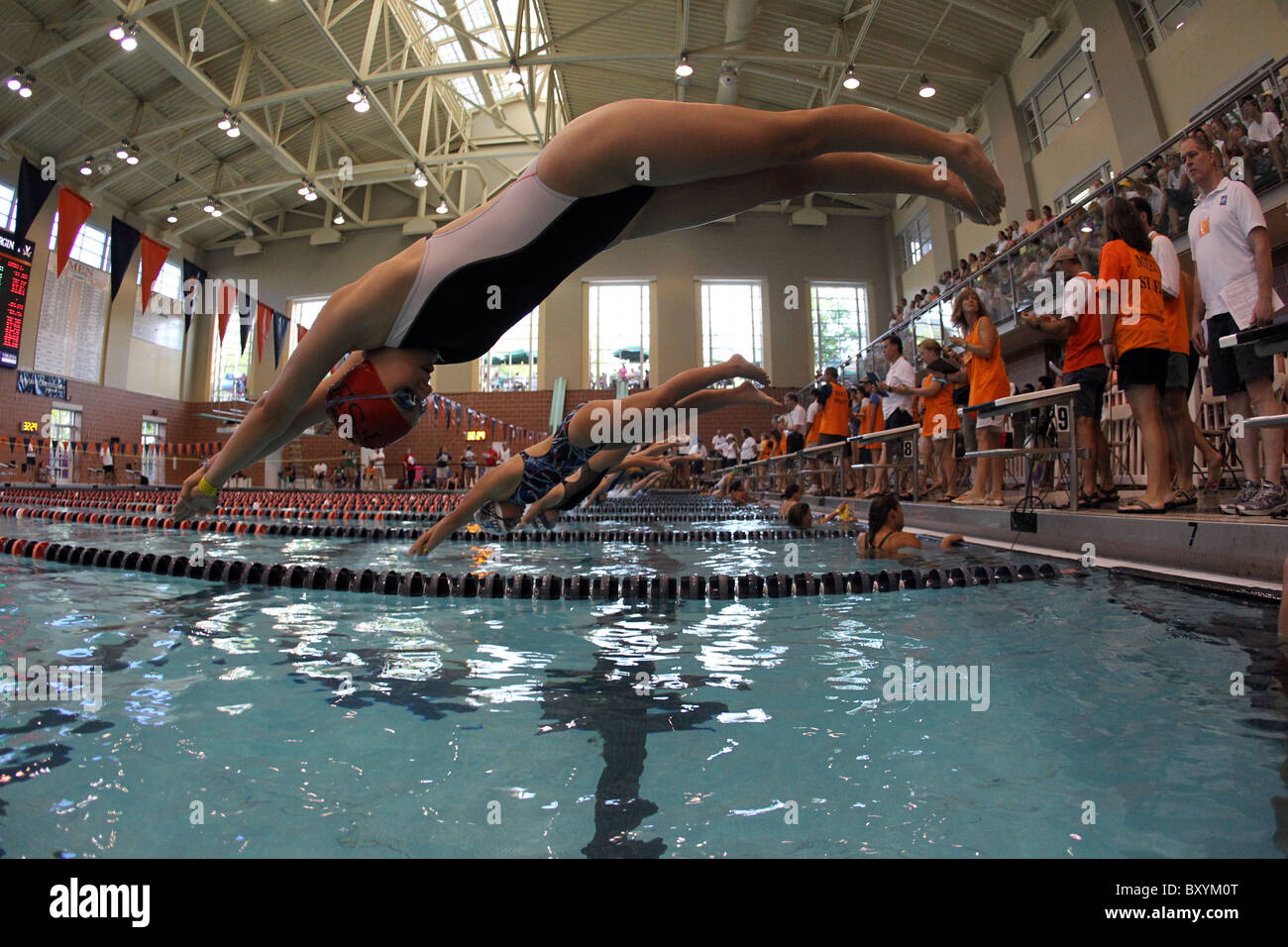 High School swimmers take a dive at a local meet in Charlottesville, Virginia. Stock Photo